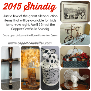 2015 Shindig Silent Auction